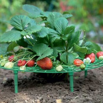 1/10buc Căpșuni în Creștere Cerc Susține Planta Cuști Rack Agricultura Îmbunătăți Recolta Cadru Ușor de Îndepărtat Rafturi Cușcă